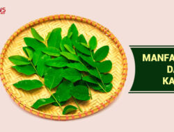 Tak Cuma Buat ASI, Ini Lima Manfaat Konsumsi Daun Katuk Bagi Kesehatan