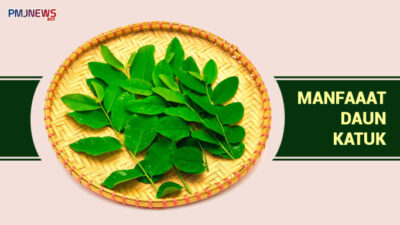 Tak Cuma Buat ASI, Ini Lima Manfaat Konsumsi Daun Katuk Bagi Kesehatan