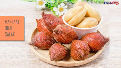 Manfaat Buah Salak Bagi Tubuh