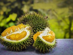 5 Manfaat Buah Durian Bagi Kesehatan, Turunkan Resiko Kanker hingga Depresi