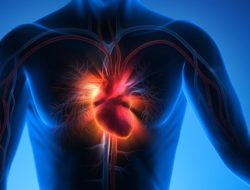 Faktor Genetik Penyakit Jantung: Ahli Sebut Gaya Hidup Tetap Lebih Berpengaruh