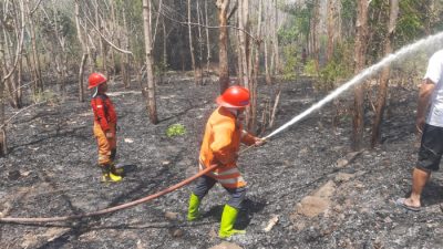 BNPB Rilis Laporan Bencana Terbaru: Banjir Medan Terparah, Ribuan Jiwa Terdampak