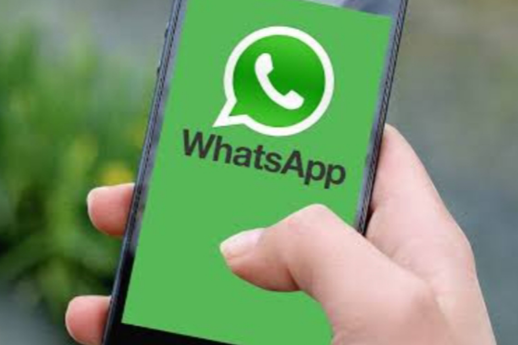 WhatsApp Batasi Kirim Pesan Spam ke Nomor Asing