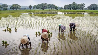 Lawan Krisis Pangan: Sekolah Pangan Sasar Generasi Z