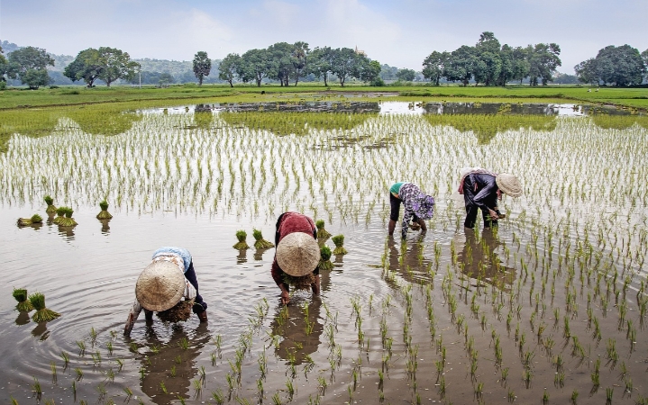 Lawan Krisis Pangan: Sekolah Pangan Sasar Generasi Z