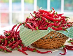 Cabai dan Bawang Sumbang Deflasi di Jambi