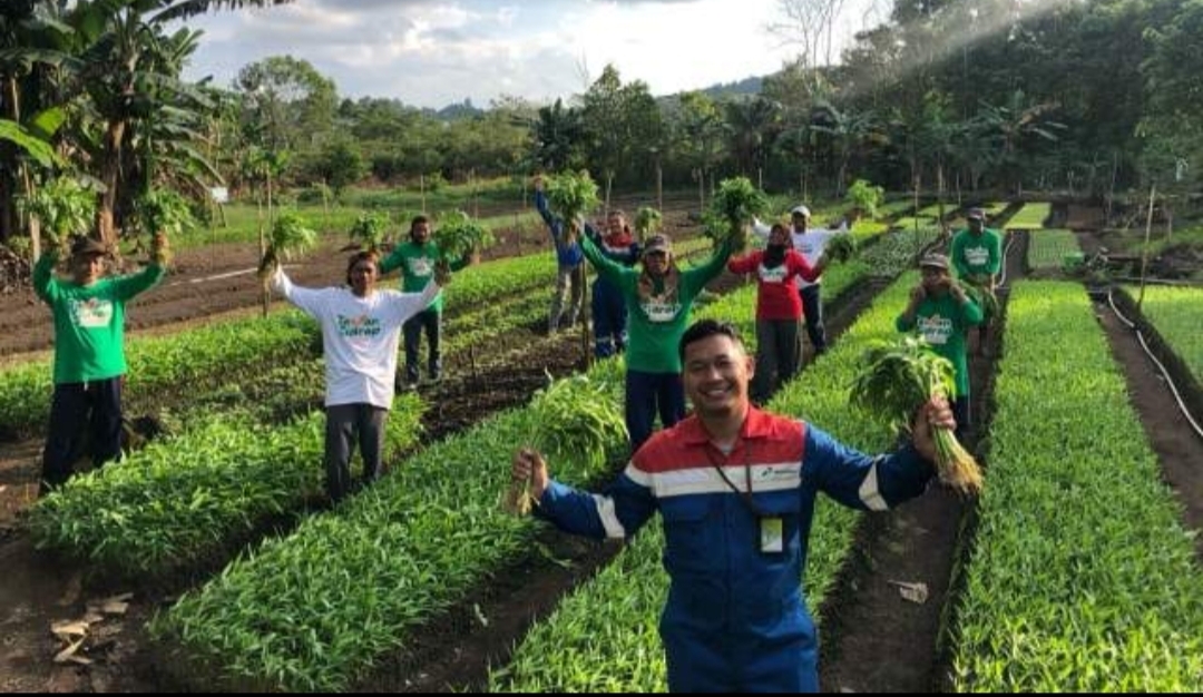 PGN Raih PROPER Emas dan Hijau untuk Program Lingkungan